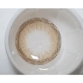 DODO Brown 13.4mm